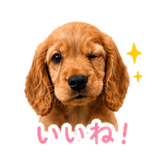 Furea baby 2