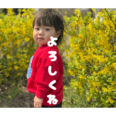 mo_20260502092610