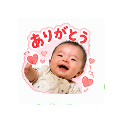 aki_20260502094654