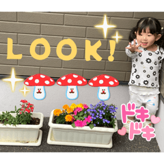 naname45_20260502105549