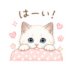 fura_20260502113542