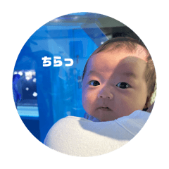 kae_20260502151842
