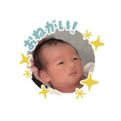 yoshimi_20260502152037