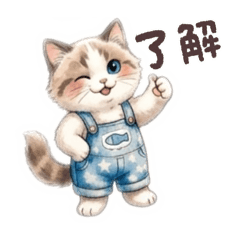 hana_20260502160048