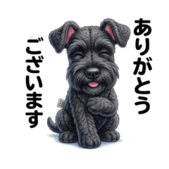 musakojigenki_20260502160358