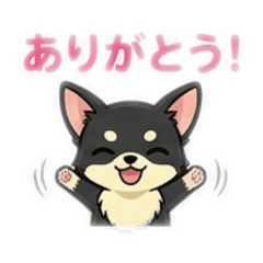 Su-Chama_20260502161203