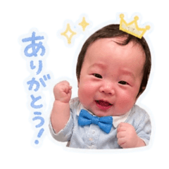 shiimaru_20260502162043