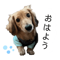 fumifumi_20260502161142
