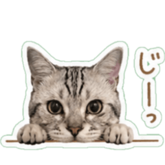 hina.k_20260430175027