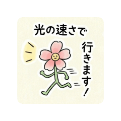 Popoton_20260430174044