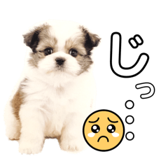 Ponzu_happy