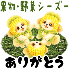 Moving Shih tzu 2026 (Fruit headwear)