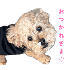 mocchan_20260430181523