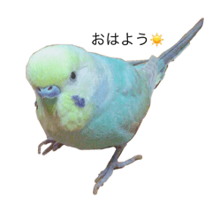 ace_20260502125614