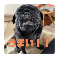 kumi_20260502125356