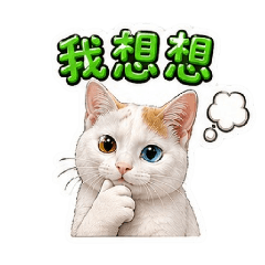 三隻小貓日常用語