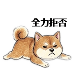 That's So Shiba!