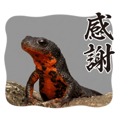 dekaiNeco_20260430193508