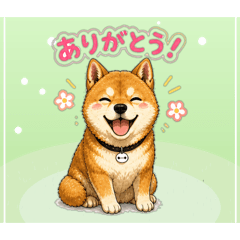 Ryo_24516