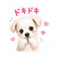 purinpapa_20260502110034