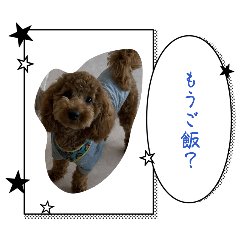 mion_20260502111640