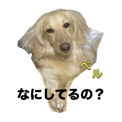bellchannostamp