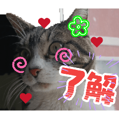 kotokoto_20260502134933