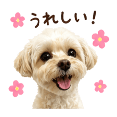 axsxsxi.oxuxhx_20260502140308