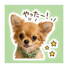 mikiko_20260502140535