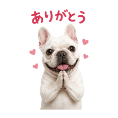 Ruirui_20260502170333