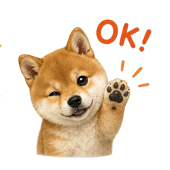 ryoco_20260502170304
