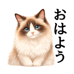 inuneko.lab_20260502165750
