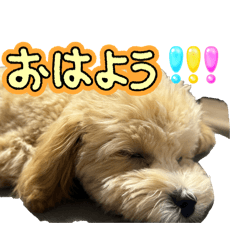 yuuu_20260502162219