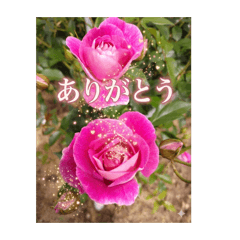 tokonatsu_20260502114334
