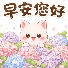 可愛貓--日常 實用貼圖