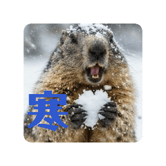 tk_20260502115416