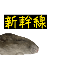 RiRi_20260502115409