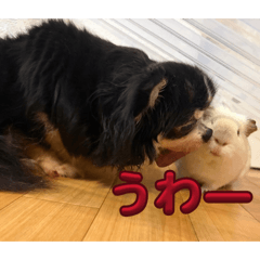 kurodayo_20260502181407