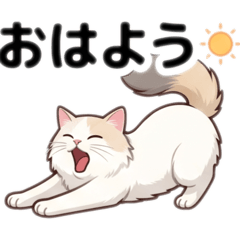 kaihanacooharu
