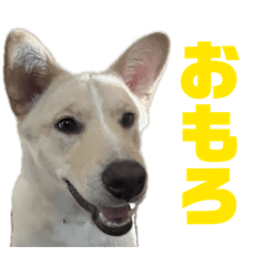 Ron_20260502181811