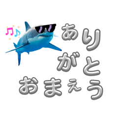 shu_20260502182649