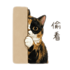 小歐戀的日常生活