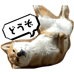 maimai_20260502105514