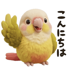 Green-Cheeked Conure Easy-to-Use Phrases