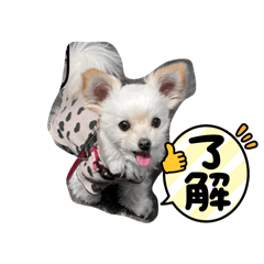 tama_20260502124719