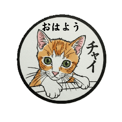 nobu_20260502134409