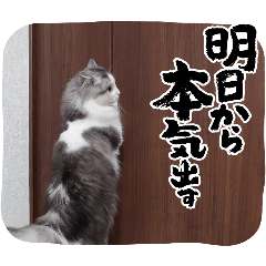 HA_20260502134427