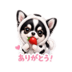 chib_20260502133649