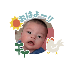 shiita_20260502134249