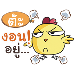 TA8 this chicken?